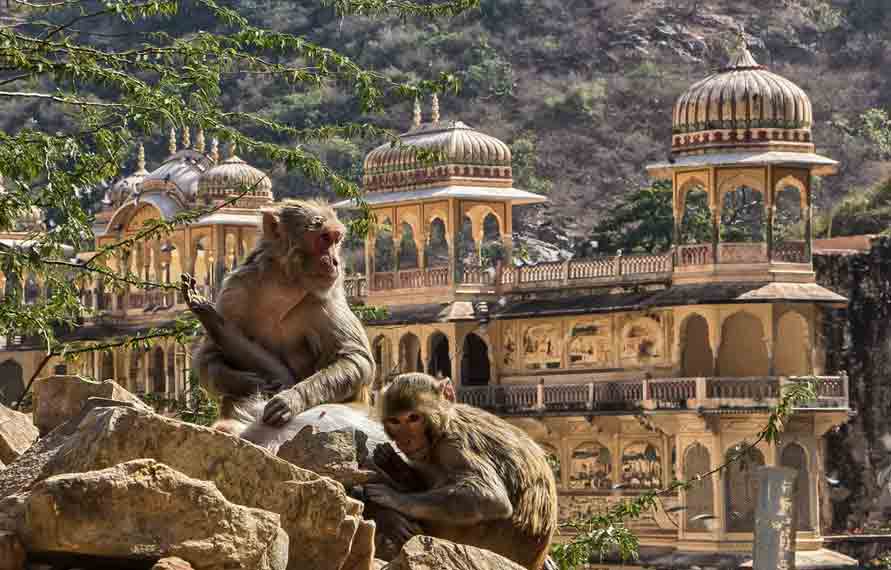 Jaipur