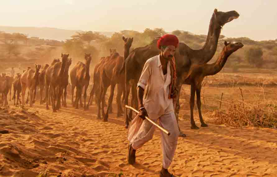 Jaisalmer