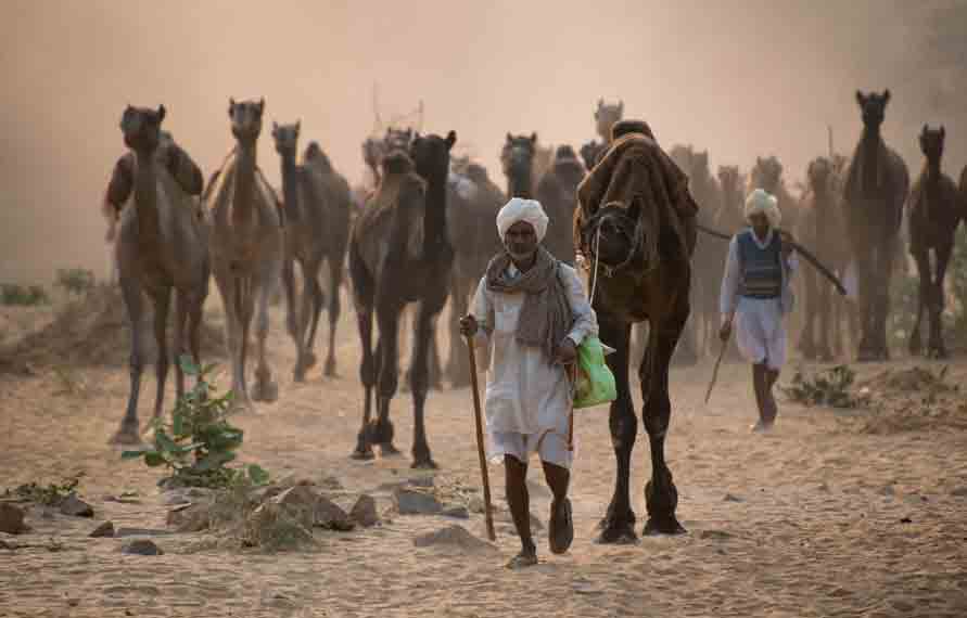 Pushkar